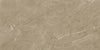 Detail van keramische tegel Tone Tan Glans 60x120 met glansafwerking en subtiele adering.