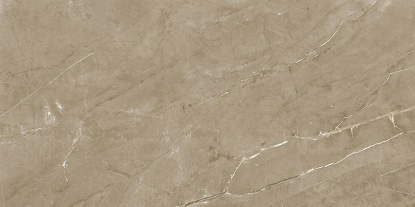 Detail van keramische tegel Tone Tan Glans 60x120 met glansafwerking en subtiele adering.