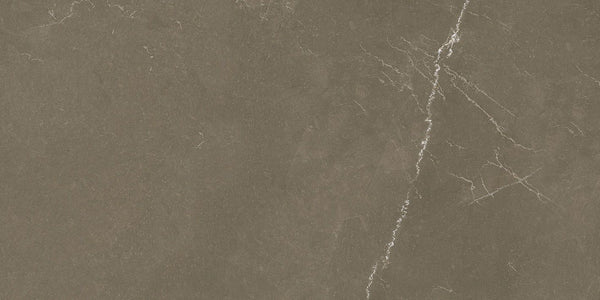 Close-up van keramische tegel Tone Umber Glans 60x120 met fijne aderstructuur
