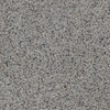 Class Terrazzo Certosa rec 60x60cm 